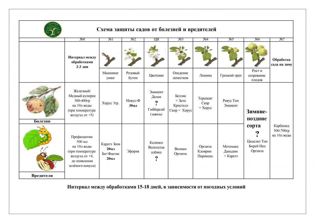 Схема защиты садов от болезней и насекомых.-изображения-1.jpg
